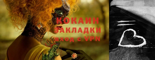 твердый Бронницы