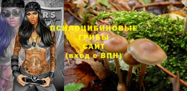 крисы Бородино