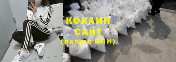 крисы Бородино