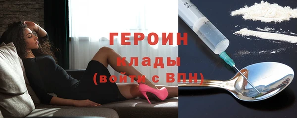 крисы Бородино