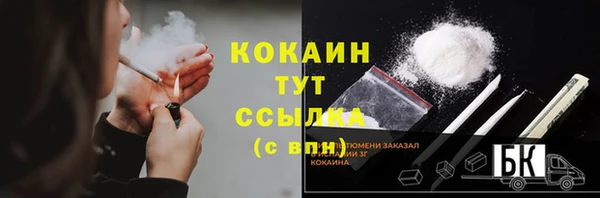 твердый Бронницы