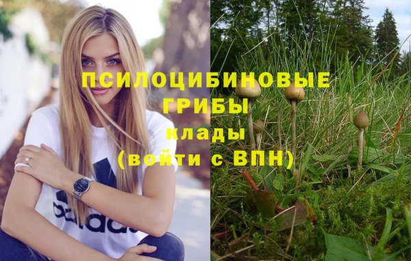 2c-b Богданович