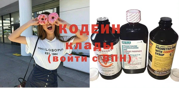 крисы Бородино