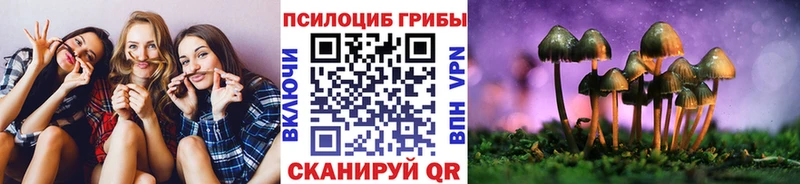 Галлюциногенные грибы прущие грибы  купить закладку  Купино 