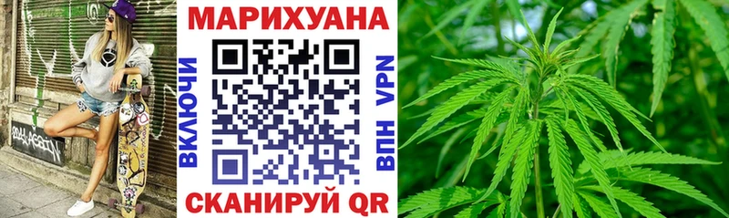 Бошки Шишки планчик  как найти   Купино 